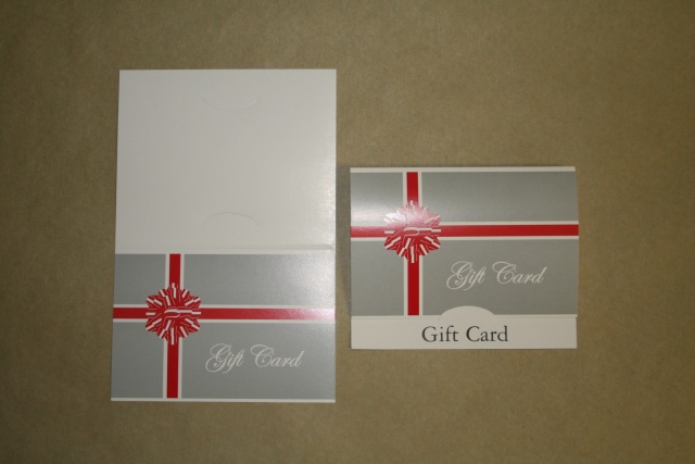 All Purpose Gift Card Holder - 100 Pieces