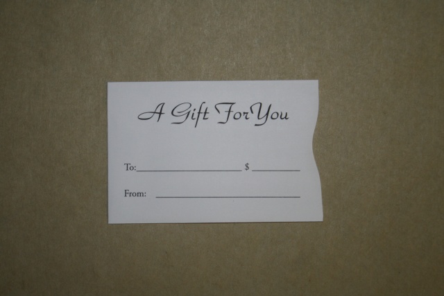 Gift Card sleeve/envelope - 100 Pieces - Click Image to Close